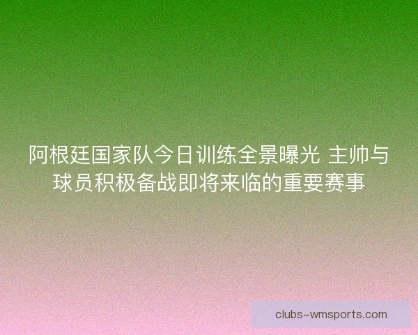 阿根廷国家队今日训练全景曝光 主帅与球员积极备战即将来临的重要赛事 阿根廷国家队今日训练全景曝光 主帅与球员积极备战即将来临的重要赛事