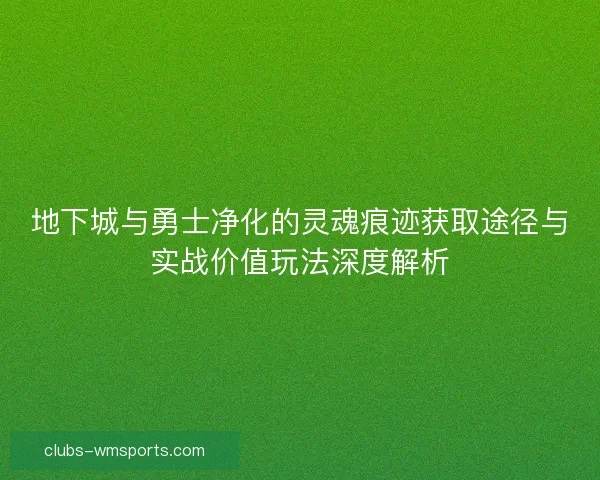 地下城与勇士净化的灵魂痕迹获取途径与实战价值玩法深度解析 地下城与勇士净化的灵魂痕迹获取途径与实战价值玩法深度解析
