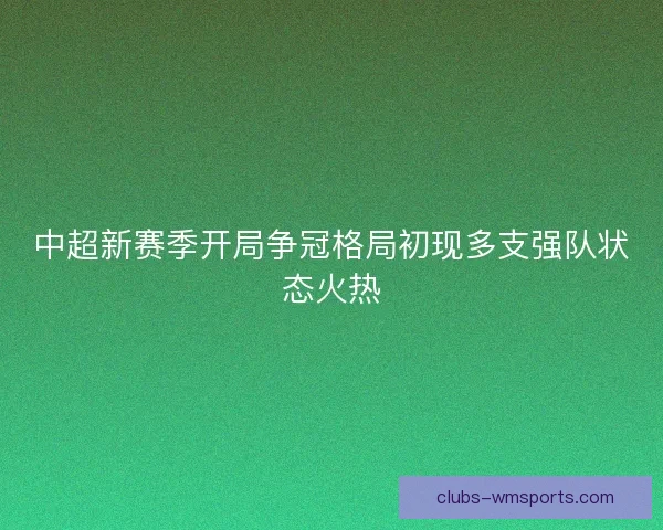 中超新赛季开局争冠格局初现多支强队状态火热 中超新赛季开局争冠格局初现多支强队状态火热