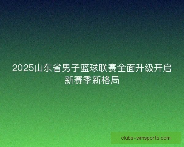 2025山东省男子篮球联赛全面升级开启新赛季新格局 2025山东省男子篮球联赛全面升级开启新赛季新格局